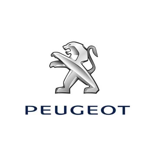 Peugeot electric cables & accessories